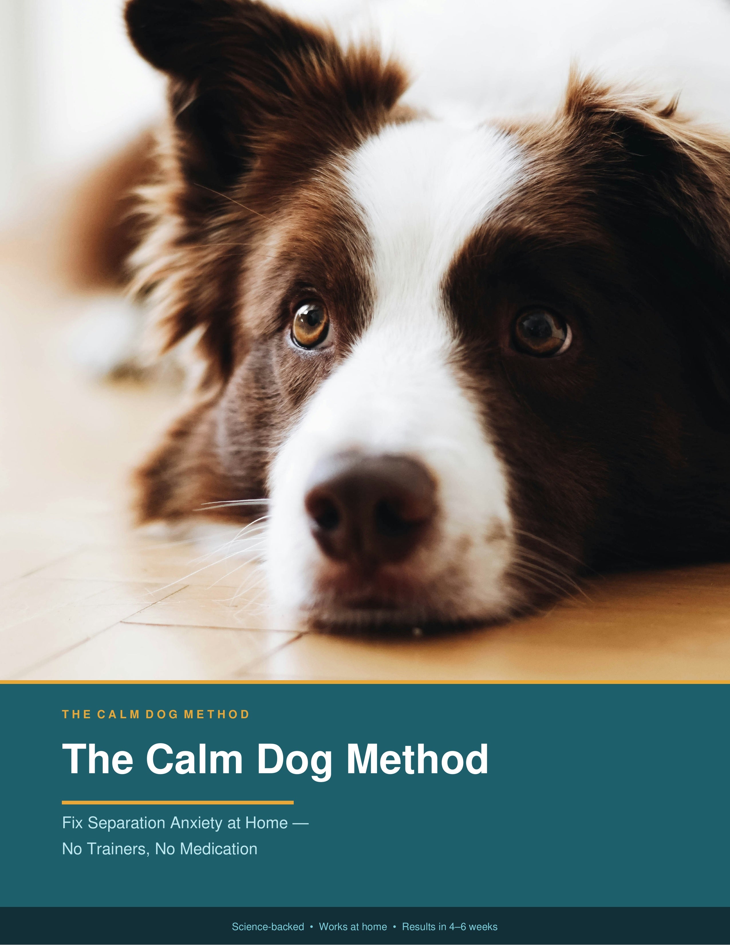 Guides for Pet Owners